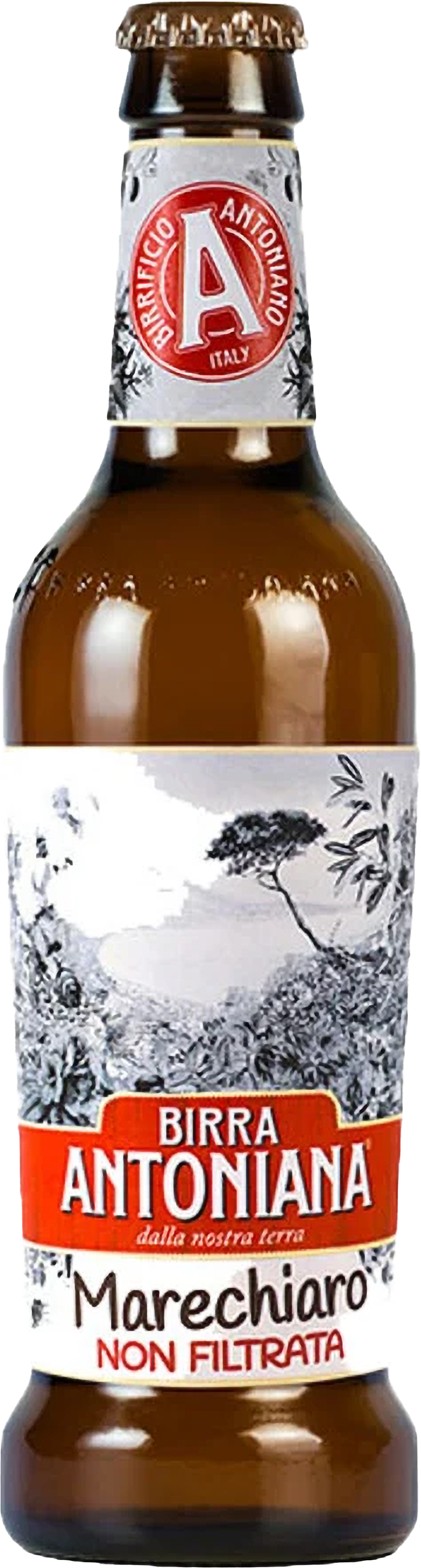 Beer Image 1